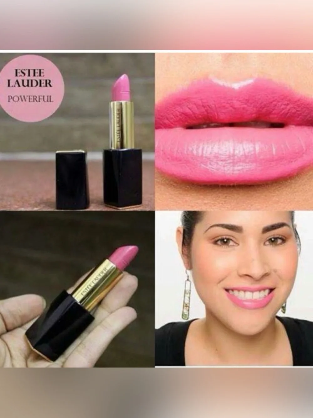 Estee Lauder Pure Color Creme Powerful Lipstick 220 Mini Mascara Floral Bag Set
